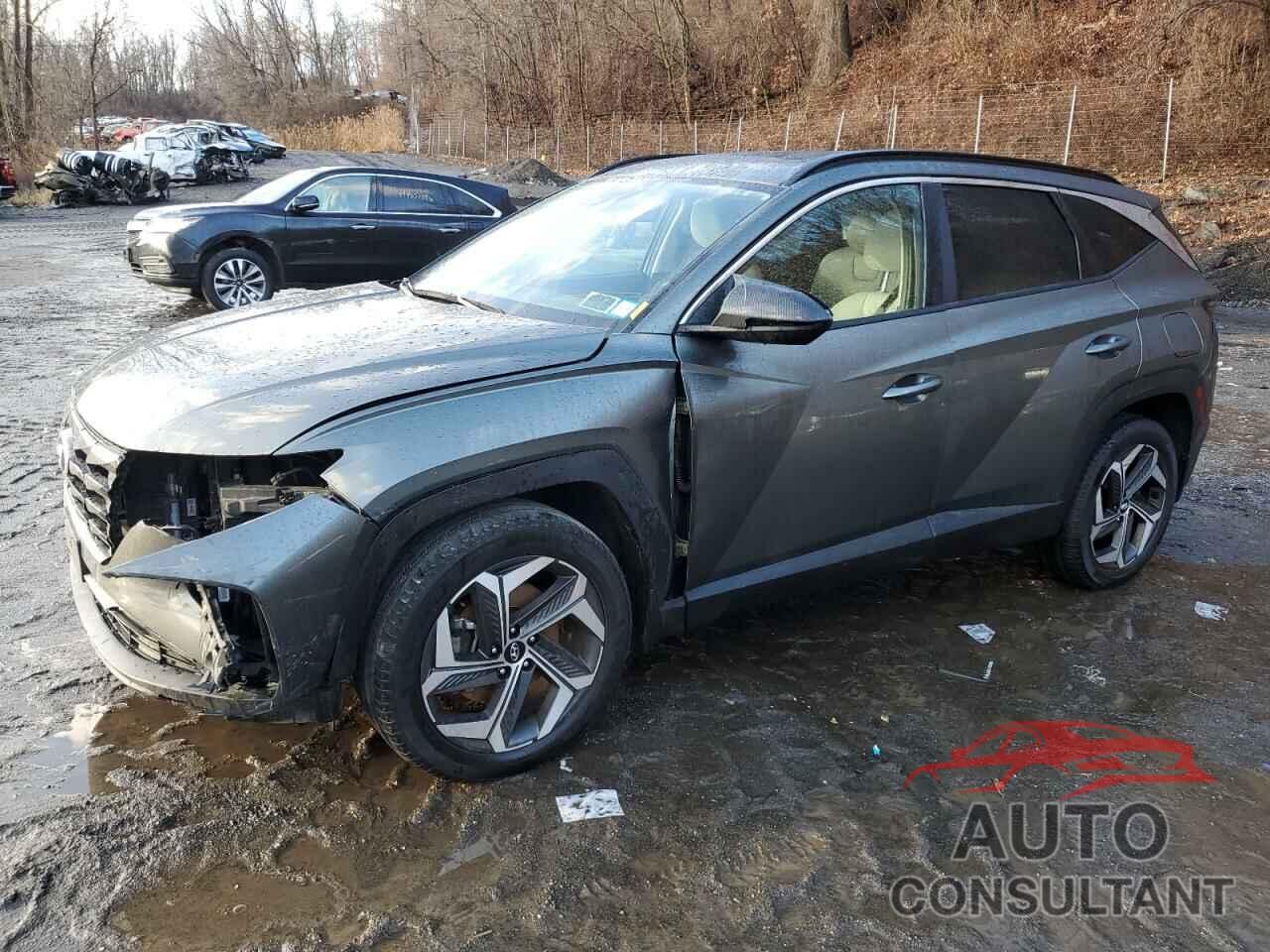 HYUNDAI TUCSON 2023 - 5NMJFCAE5PH182996