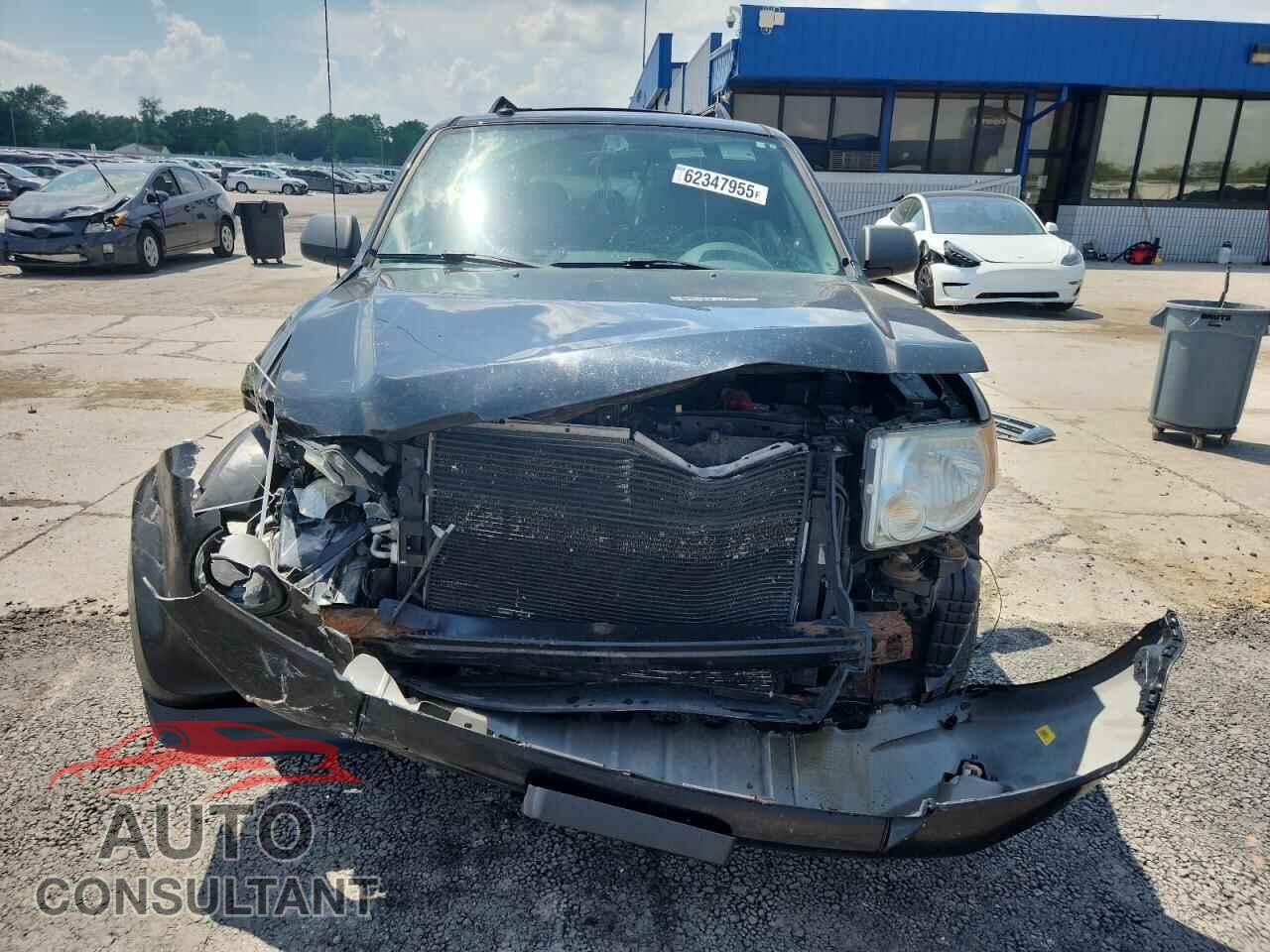 FORD ESCAPE 2009 - 1FMCU03769KC67957