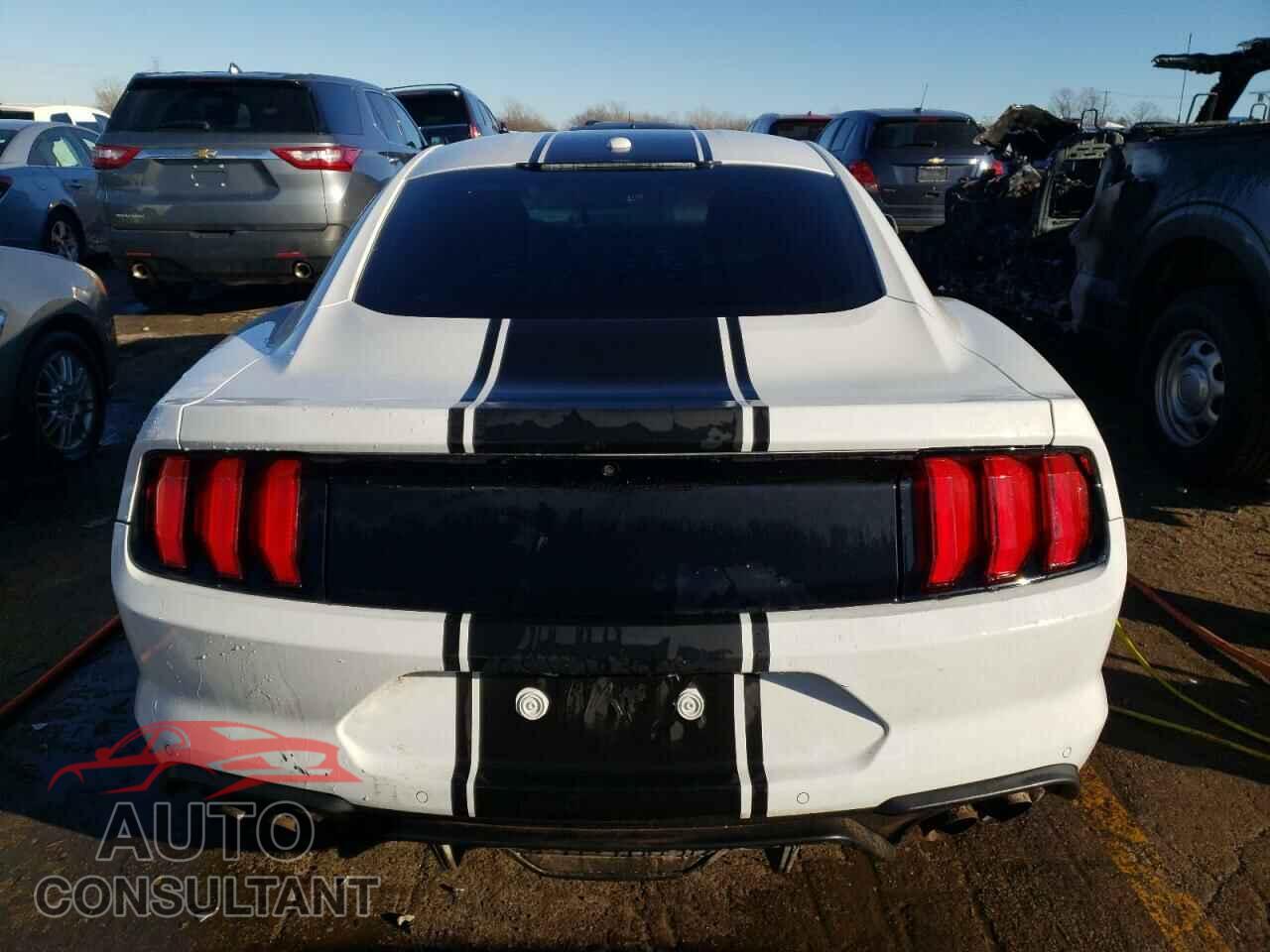 FORD MUSTANG 2019 - 1FA6P8CF3K5115062