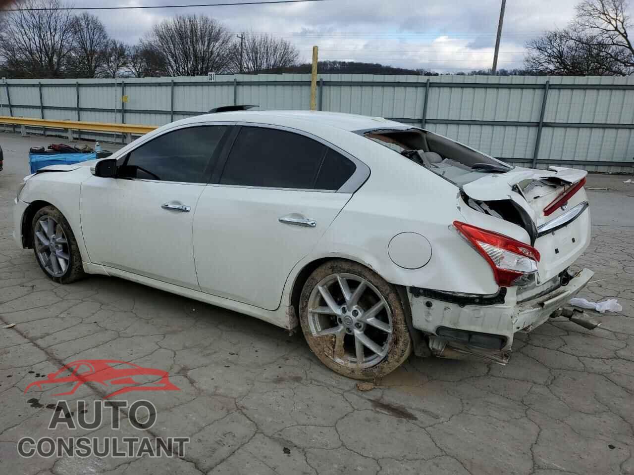 NISSAN MAXIMA 2009 - 1N4AA51E89C848539