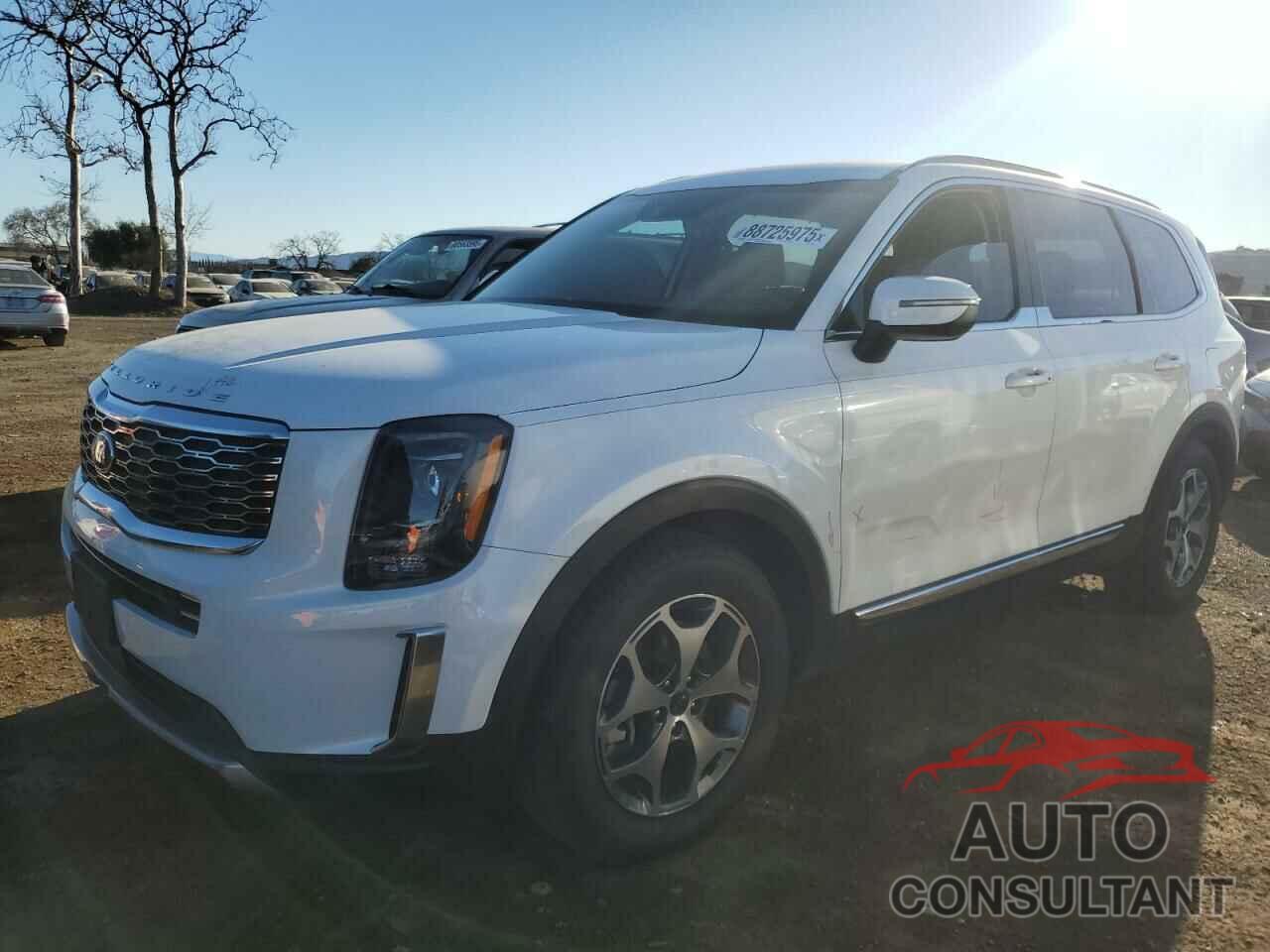 KIA TELLURIDE 2020 - 5XYP34HC4LG049793