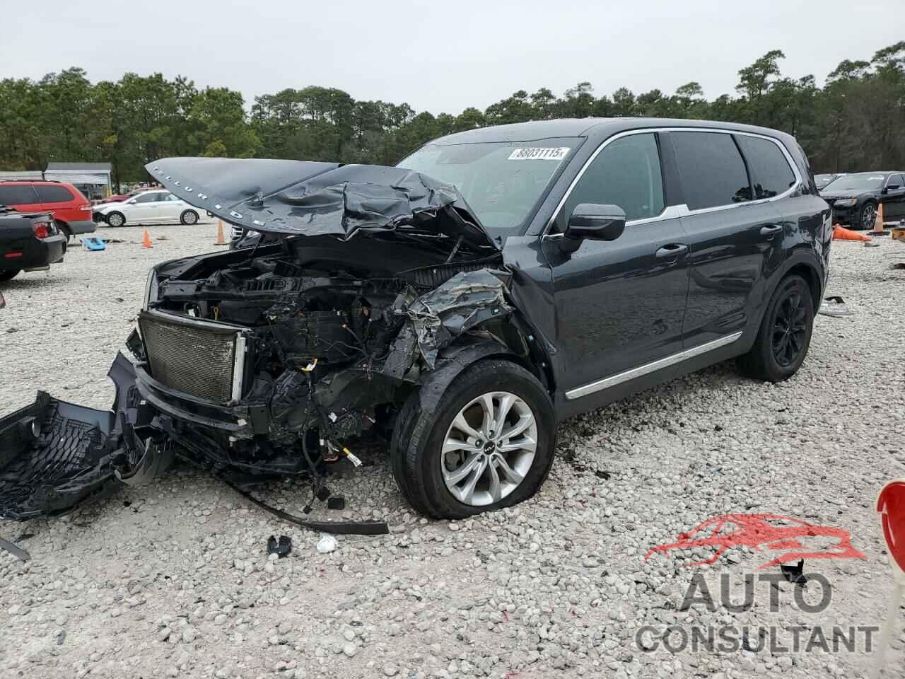 KIA TELLURIDE 2022 - 5XYP2DHCXNG312326