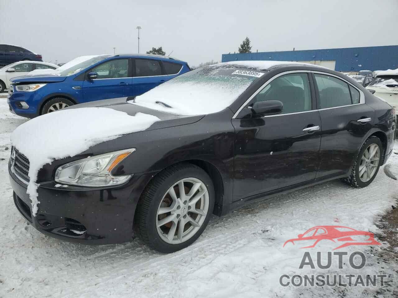 NISSAN MAXIMA 2010 - 1N4AA5AP5AC875476