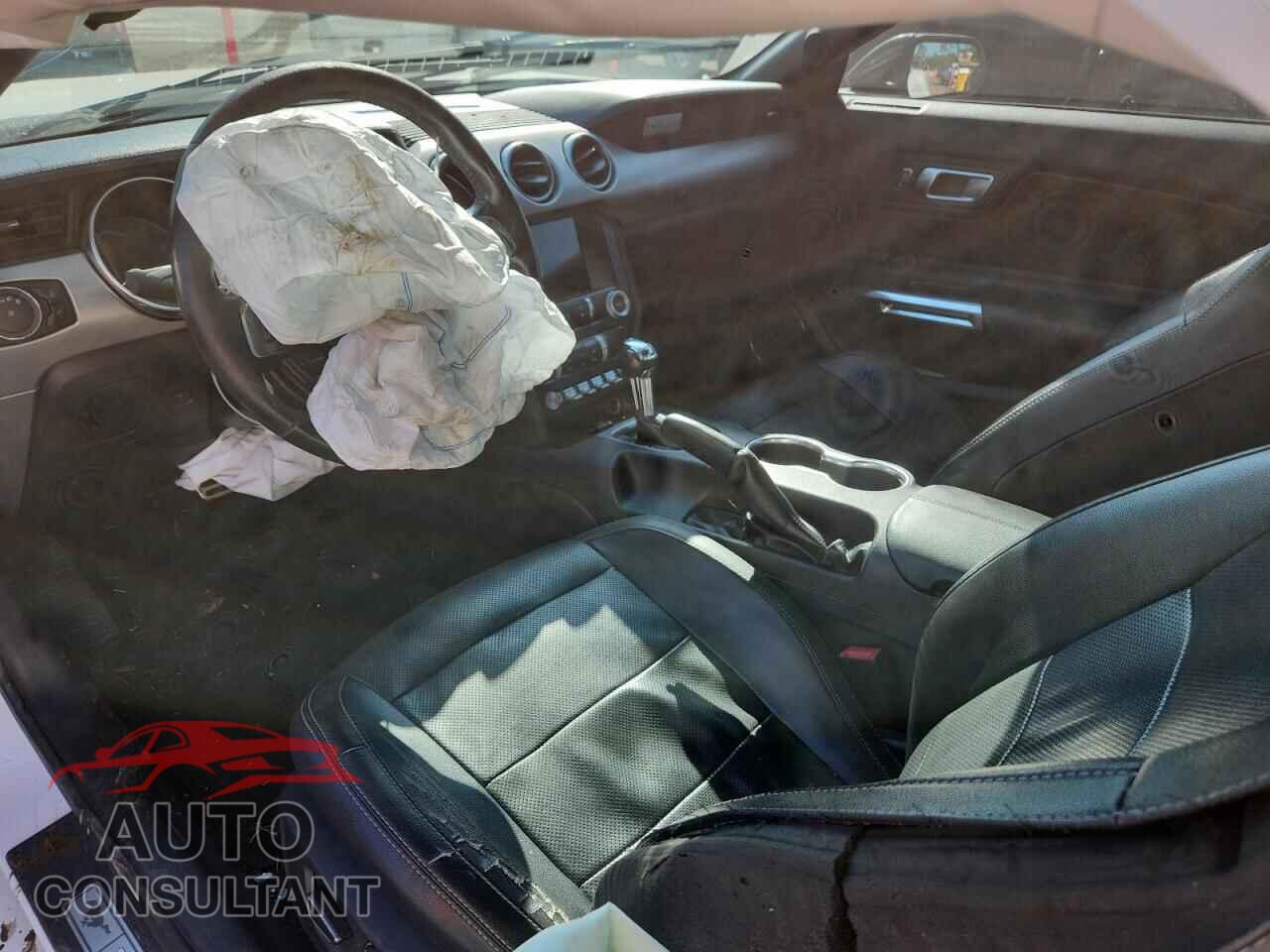 FORD MUSTANG 2019 - 1FA6P8CF0K5151663