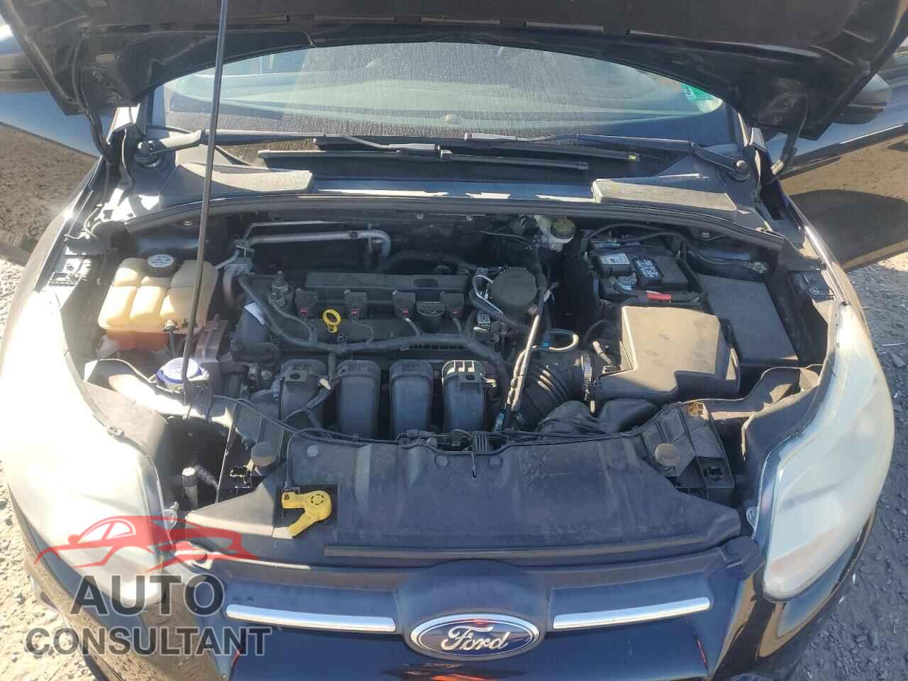 FORD FOCUS 2013 - 1FADP3F29DL176207