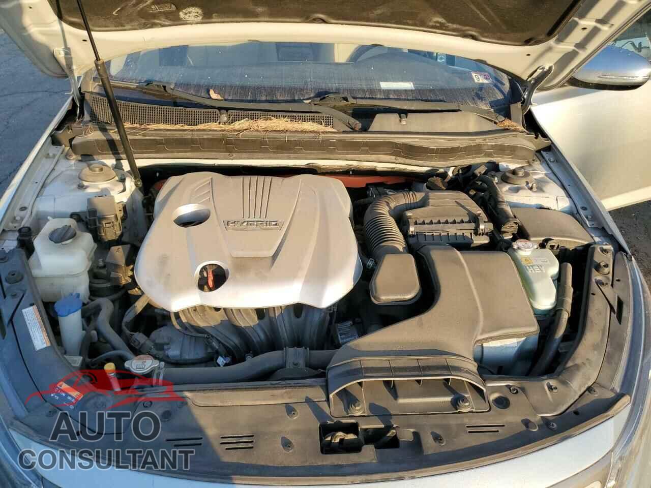 KIA OPTIMA 2016 - KNAGM4AD1G5096940
