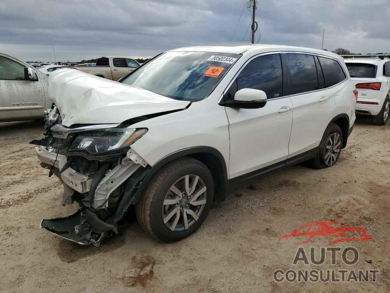 HONDA PILOT 2019 - 5FNYF5H43KB007793