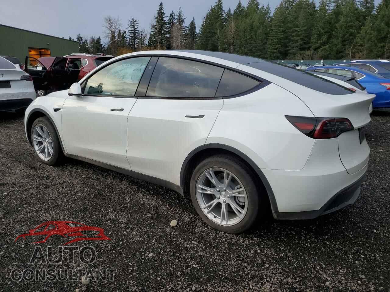TESLA MODEL Y 2024 - 7SAYGDEE7RF985618
