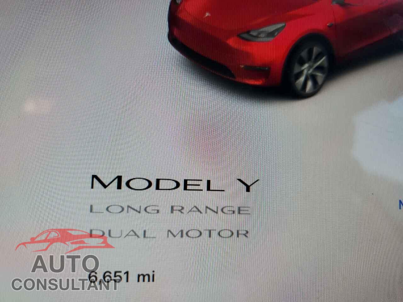 TESLA MODEL Y 2024 - 7SAYGAEE5RF068997