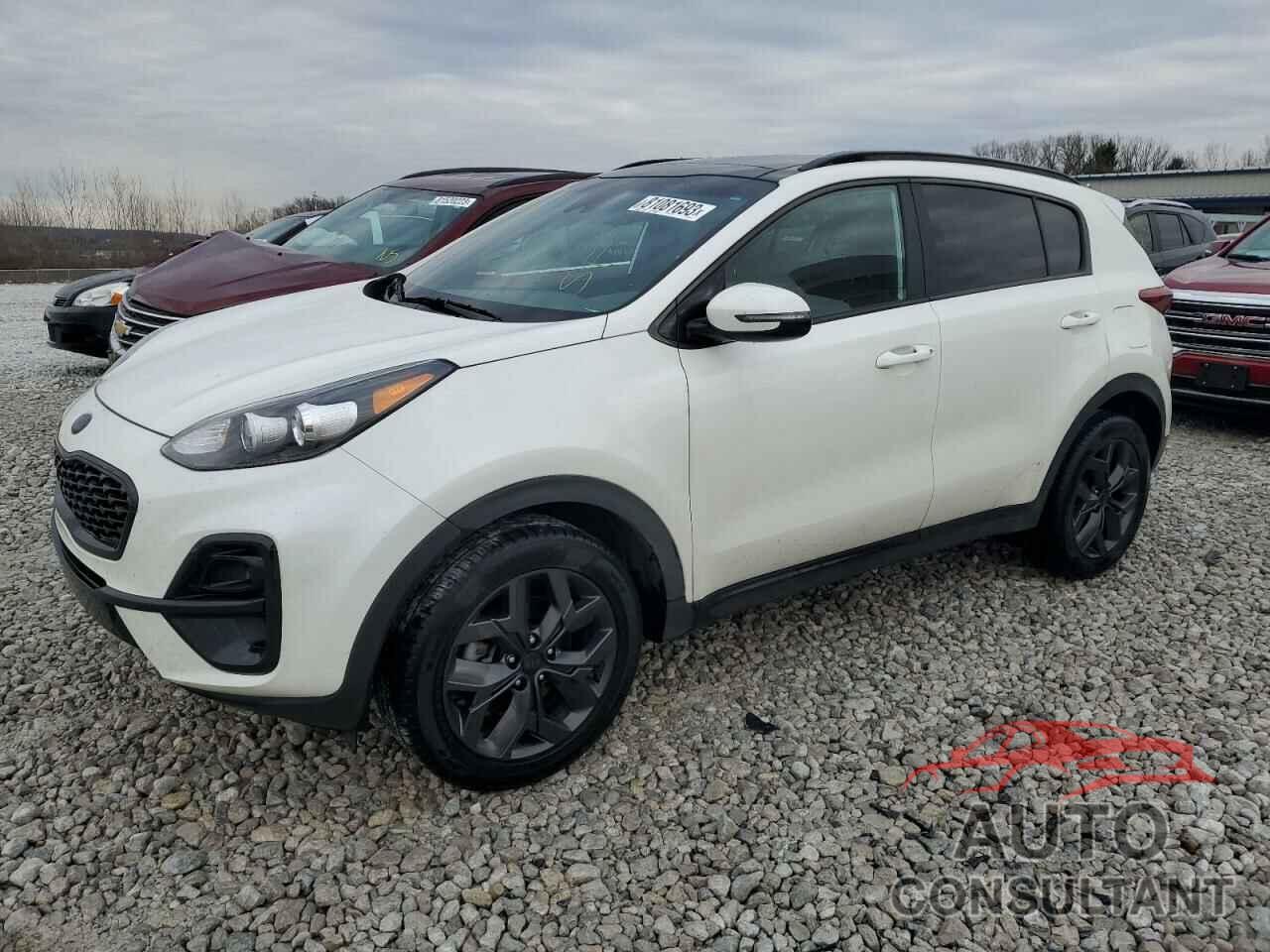 KIA SPORTAGE 2022 - KNDP6CAC2N7002211