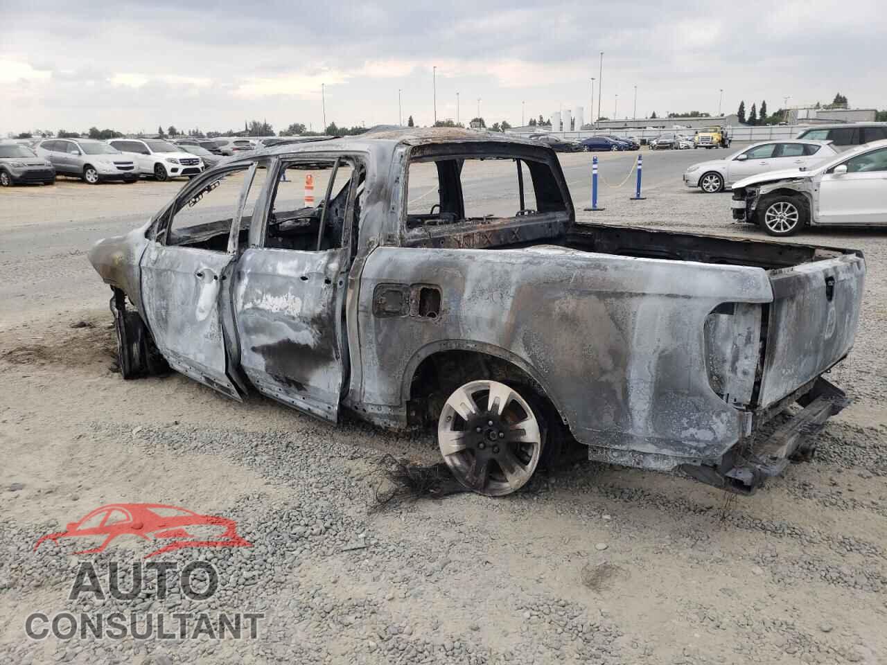 HONDA RIDGELINE 2019 - 5FPYK3F5XKB043564
