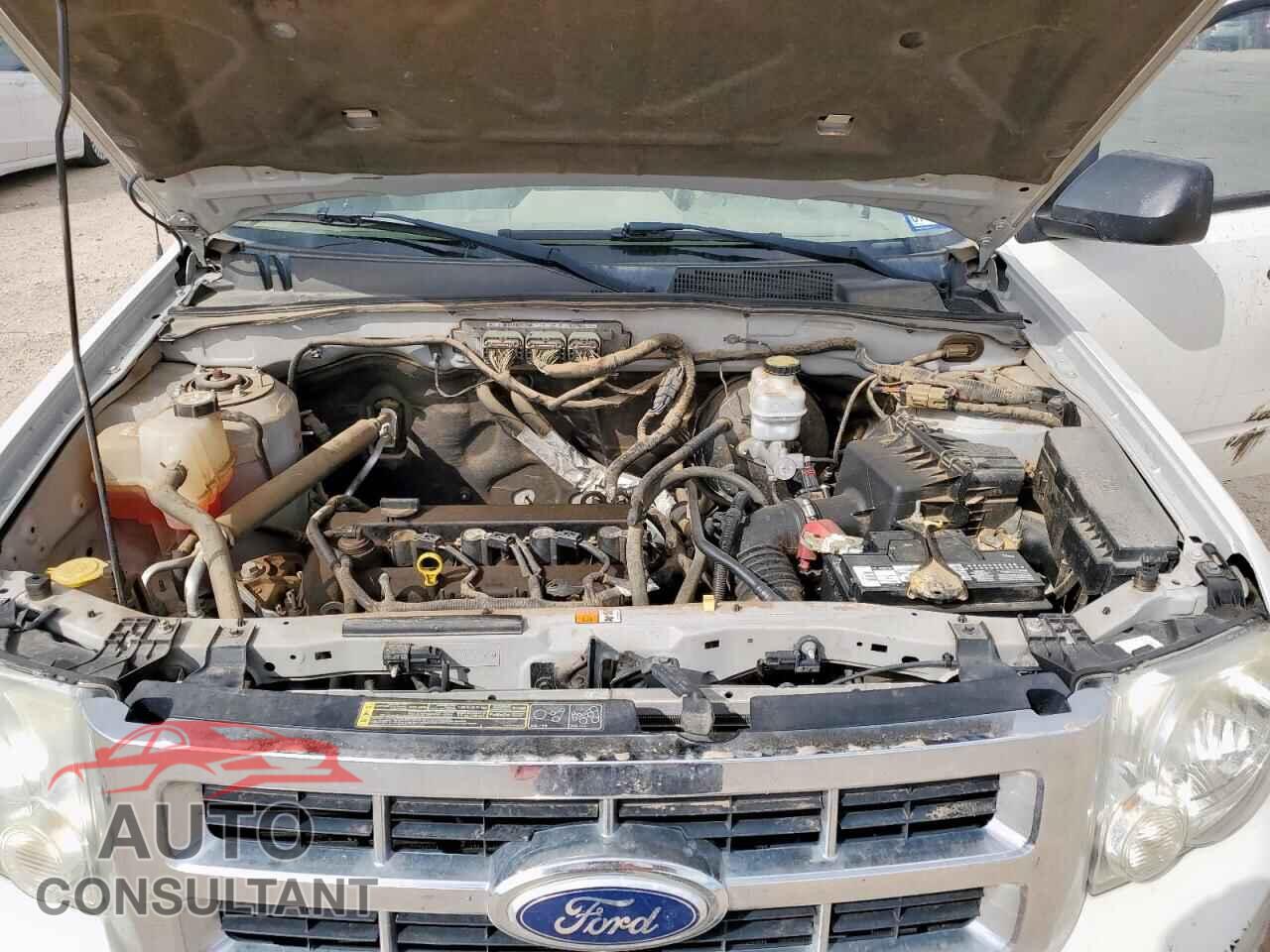 FORD ESCAPE 2010 - 1FMCU9D78AKB92203