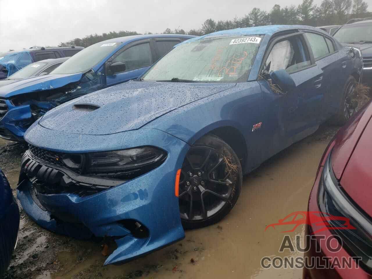 DODGE CHARGER 2020 - 2C3CDXGJ2LH244388