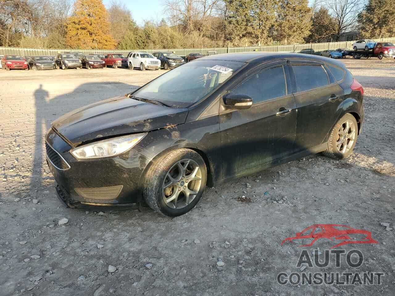 FORD FOCUS 2016 - 1FADP3K22GL385461