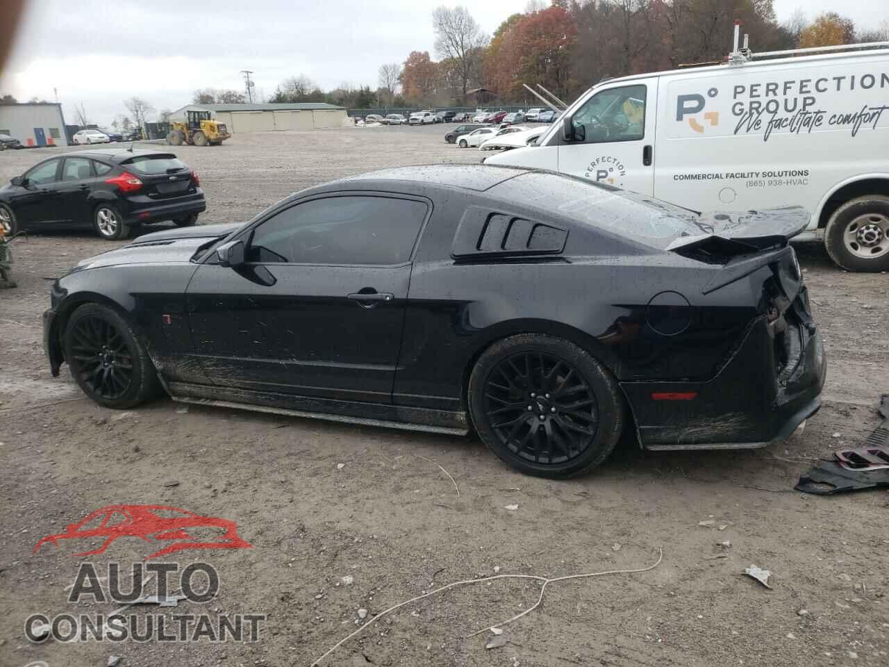 FORD MUSTANG 2013 - 1ZVBP8CF0D5206704