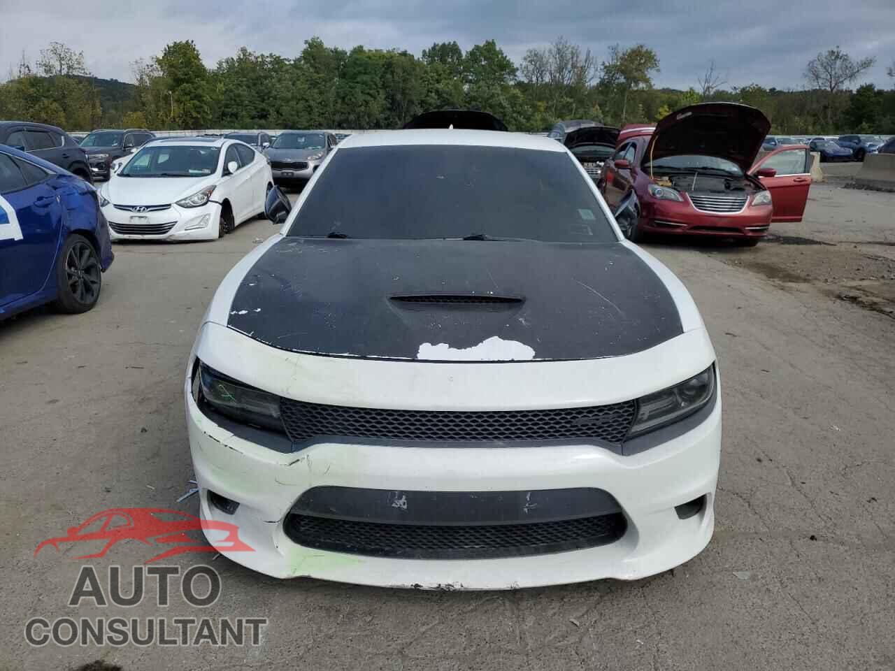 DODGE CHARGER 2019 - 2C3CDXCT6KH630205