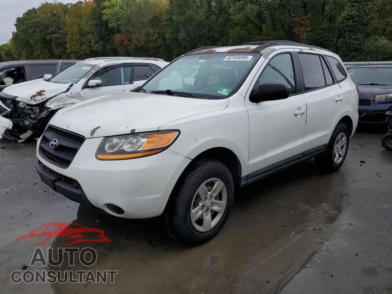 HYUNDAI SANTA FE 2009 - 5NMSG73D99H300841