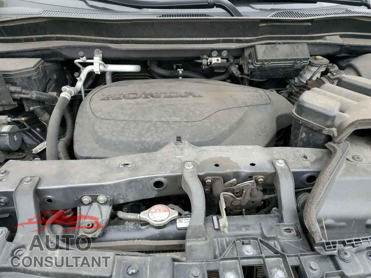 HONDA RIDGELINE 2022 - 5FPYK3F73NB017541
