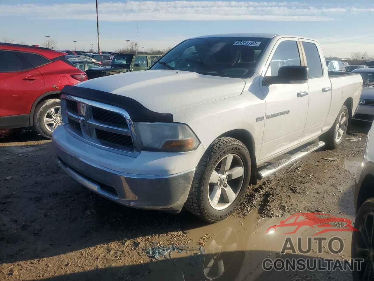 DODGE All Models 2011 - 1D7RB1GT6BS628908