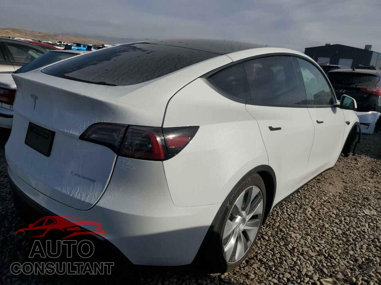 TESLA MODEL Y 2024 - 7SAYGDEE8RF089117