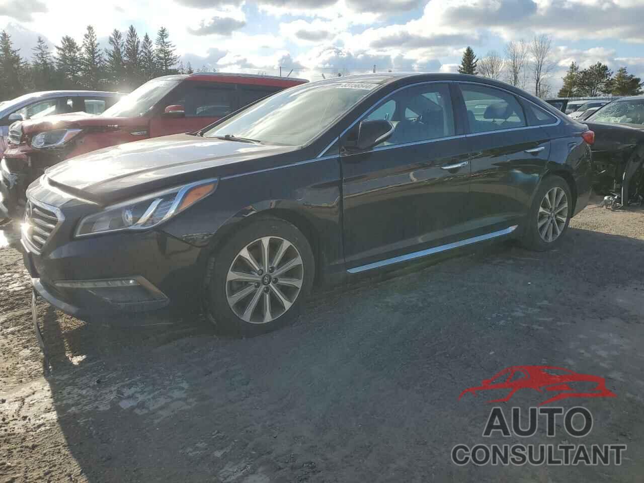 HYUNDAI SONATA 2016 - 5NPE34AF3GH412210