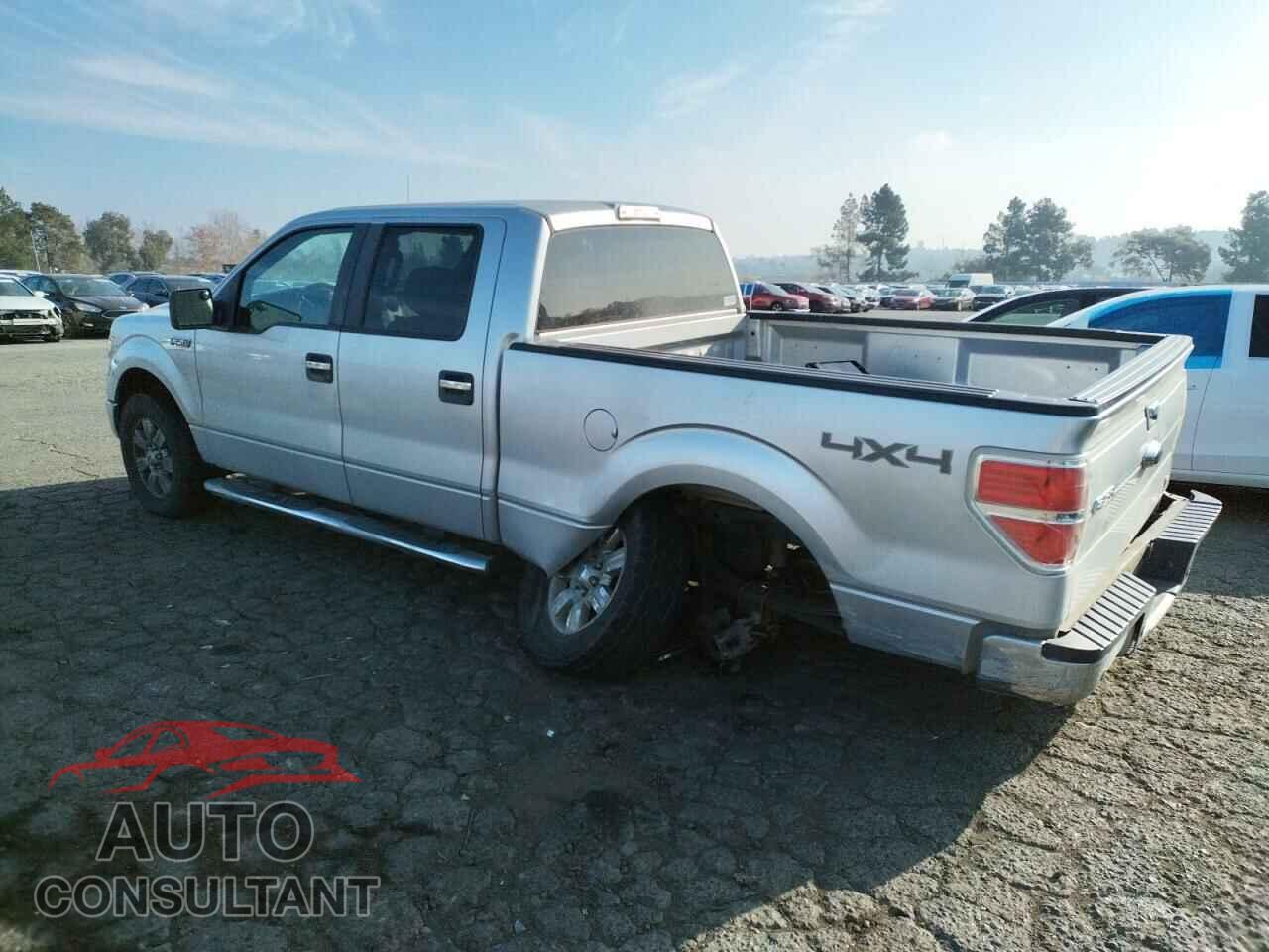 FORD F-150 2010 - 1FTFW1EVXAFD56795