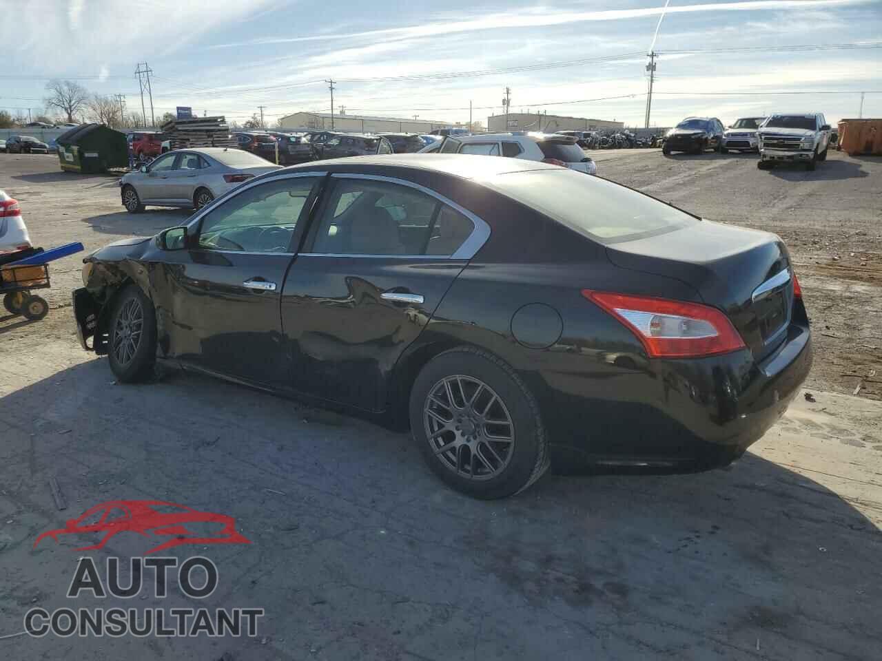 NISSAN MAXIMA 2009 - 1N4AA51EX9C860191