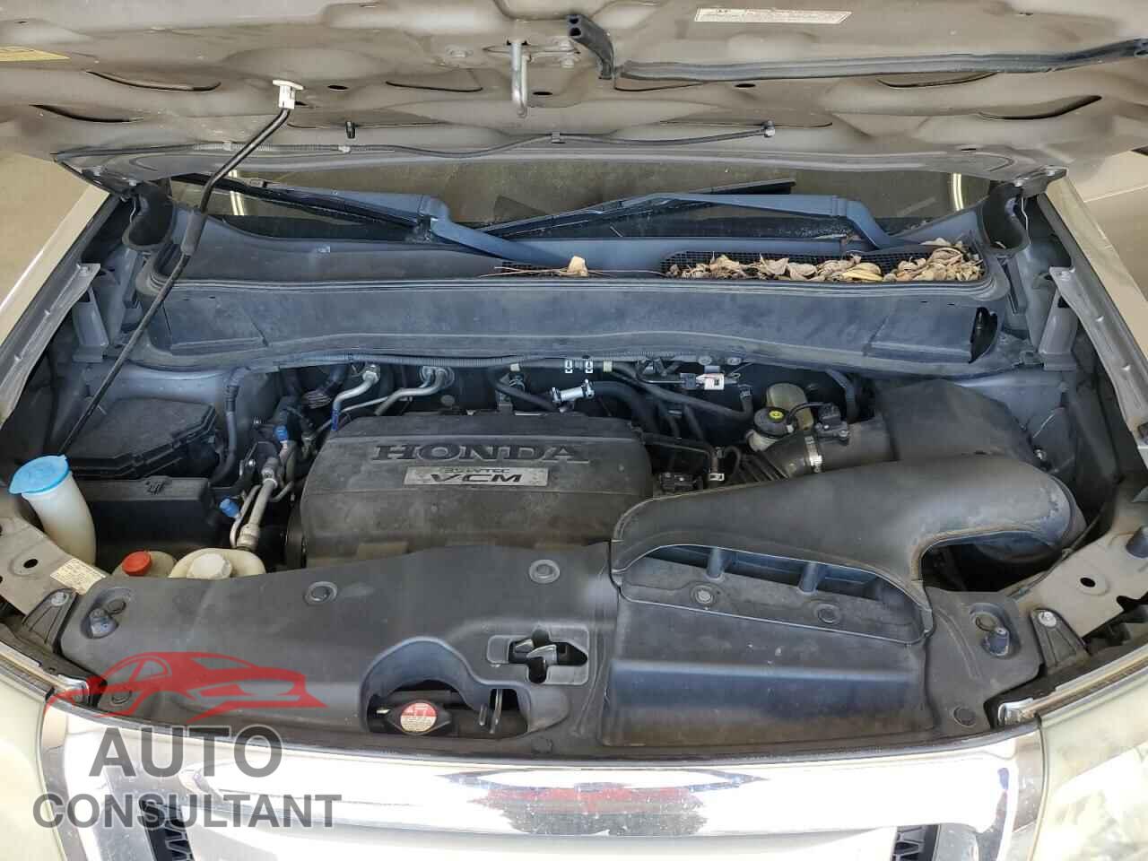 HONDA PILOT 2010 - 5FNYF3H53AB016229