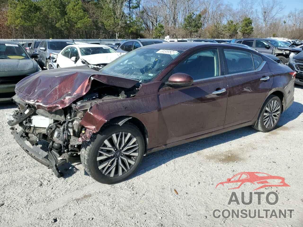 NISSAN ALTIMA 2023 - 1N4BL4DV0PN376598