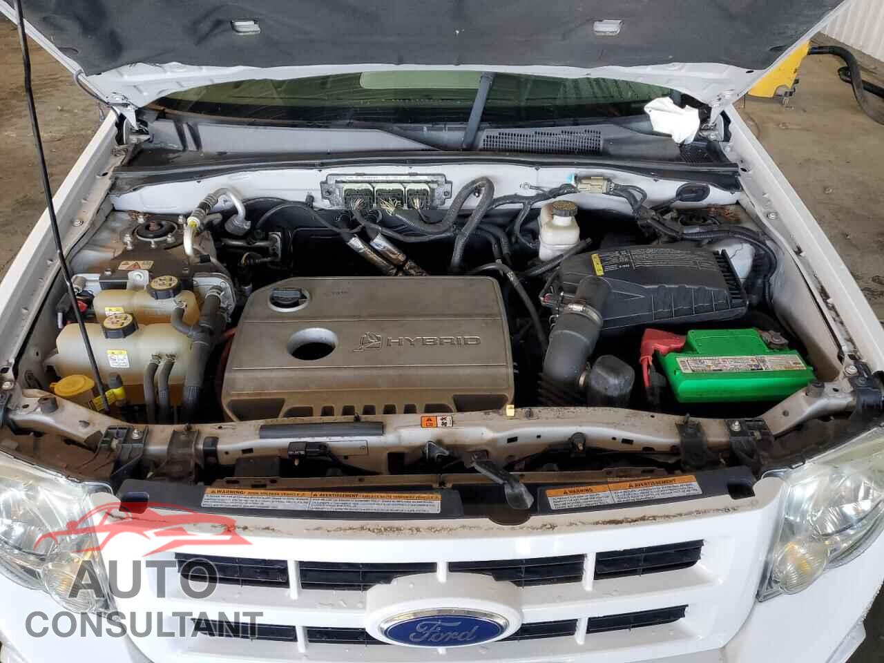 FORD ESCAPE 2010 - 1FMCU4K35AKC96893