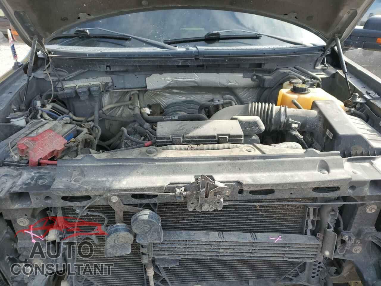 FORD F-150 2013 - 1FTFW1EF4DFD76294