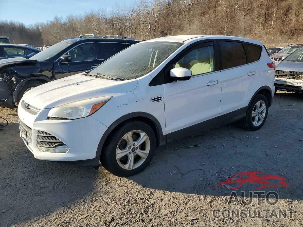 FORD ESCAPE 2014 - 1FMCU9GX3EUC56265