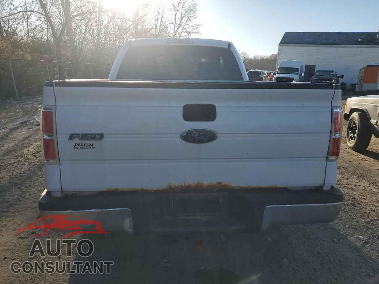 FORD F-150 2009 - 1FTRX14829FB32003