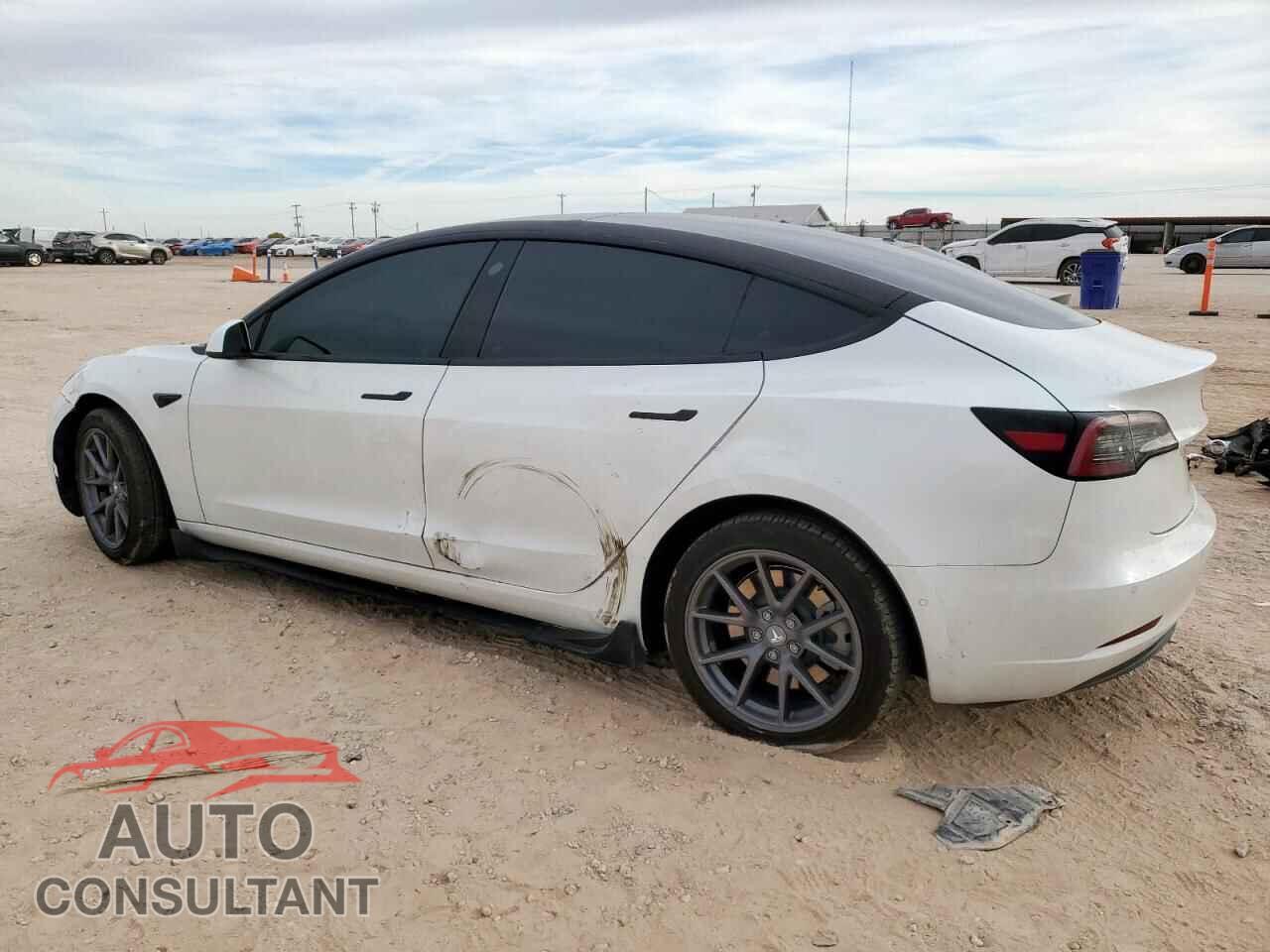 TESLA MODEL 3 2021 - 5YJ3E1EA3MF100736