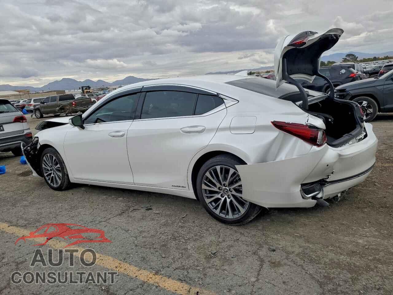 LEXUS ES300 2021 - 58ADA1C19MU002762