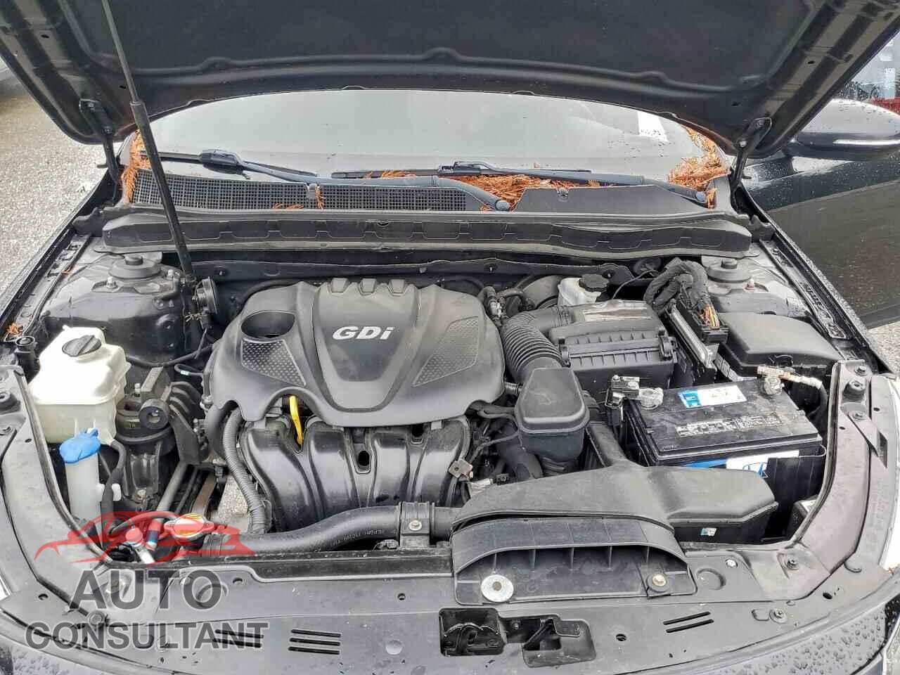 KIA OPTIMA 2011 - KNAGM4A75B5117386