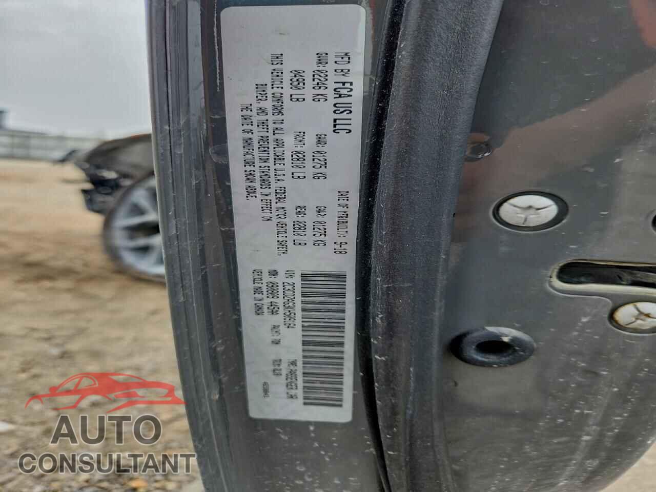 DODGE CHALLENGER 2019 - 2C3CDZAG3KH509164