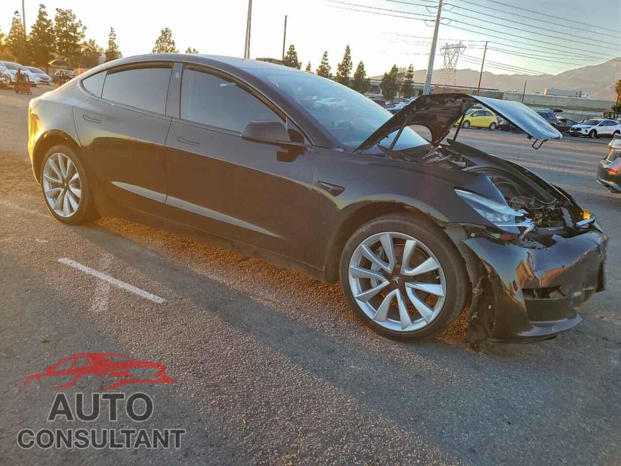 TESLA MODEL 3 2019 - 5YJ3E1EA5KF300479