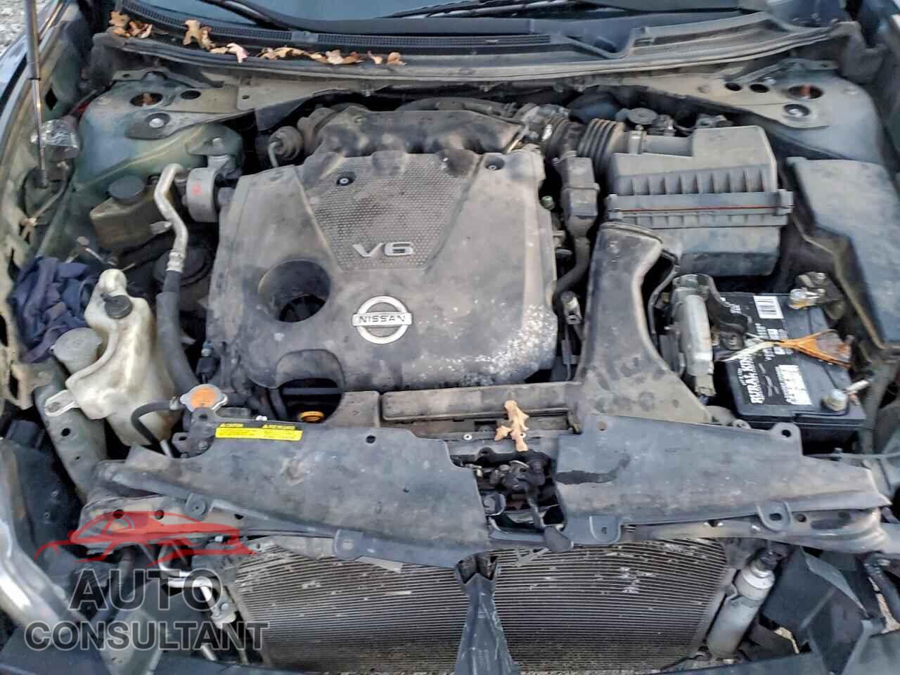 NISSAN MAXIMA 2010 - 1N4AA5AP8AC807818