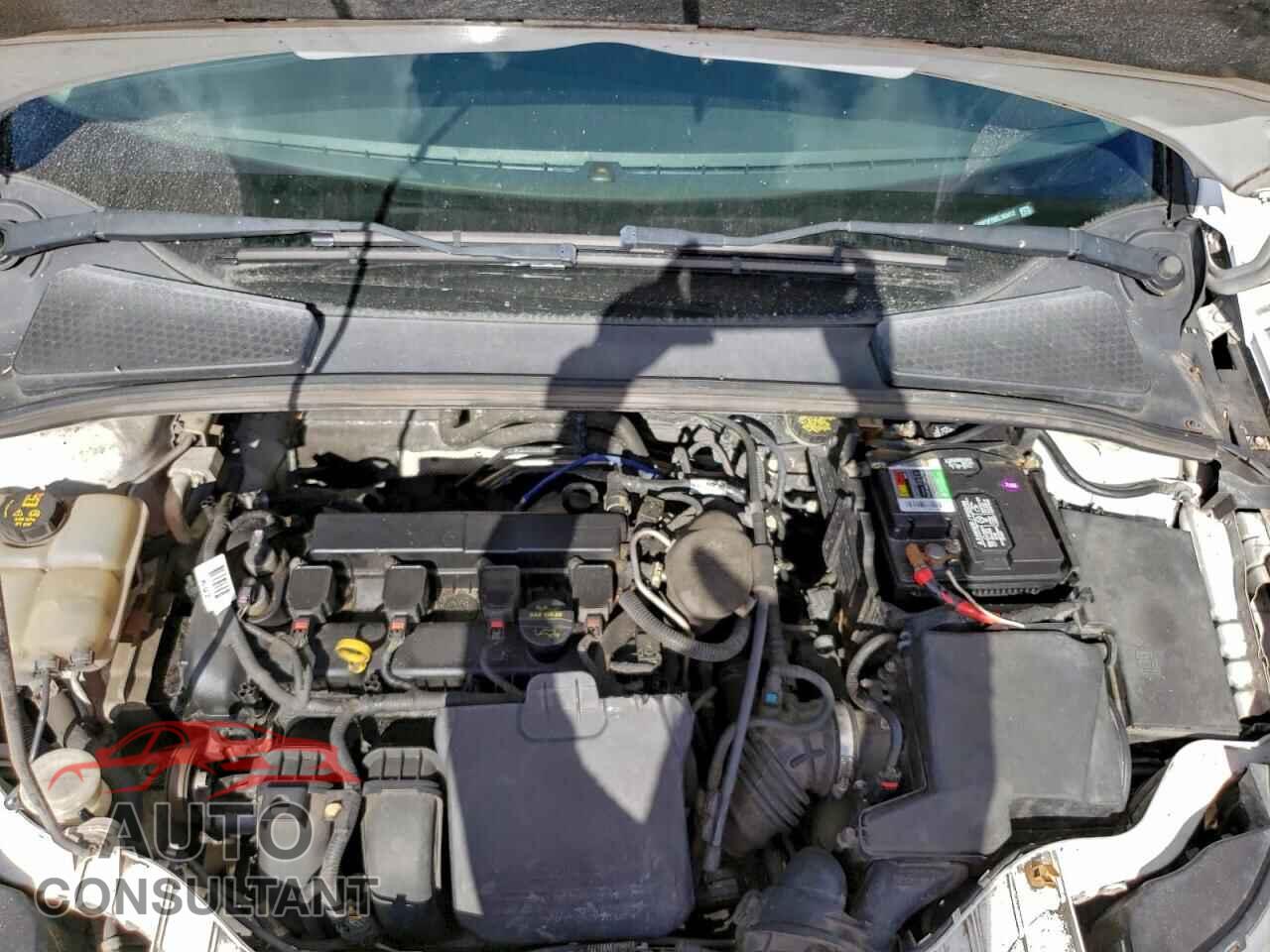 FORD FOCUS 2014 - 1FADP3F29EL163412