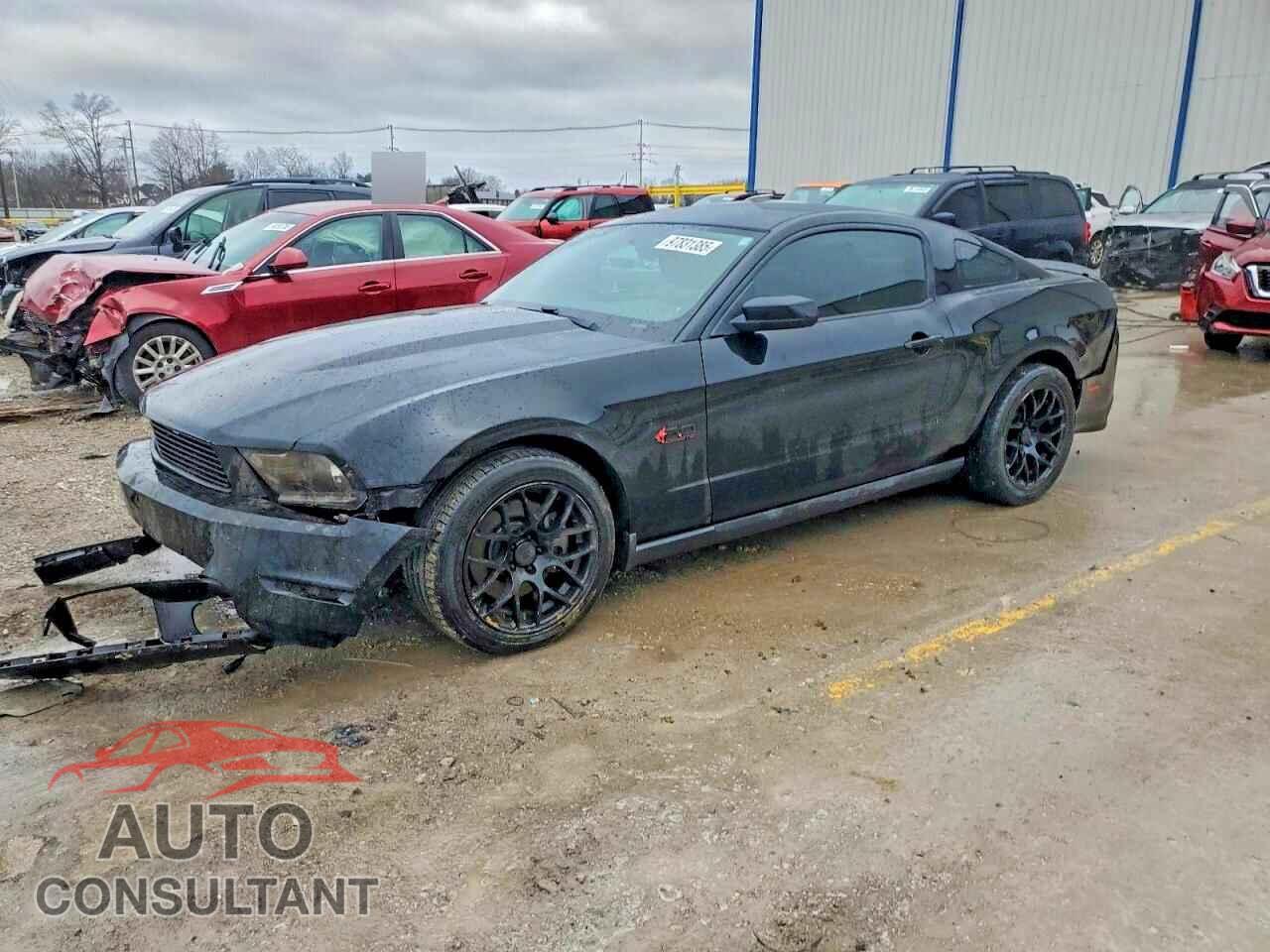 FORD MUSTANG 2011 - 1ZVBP8CF2B5151542