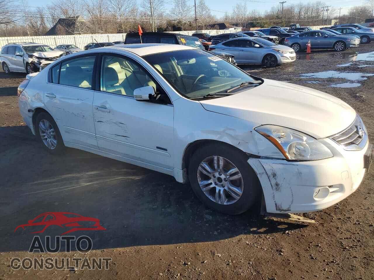NISSAN ALTIMA 2011 - 1N4CL2AP1BC185498