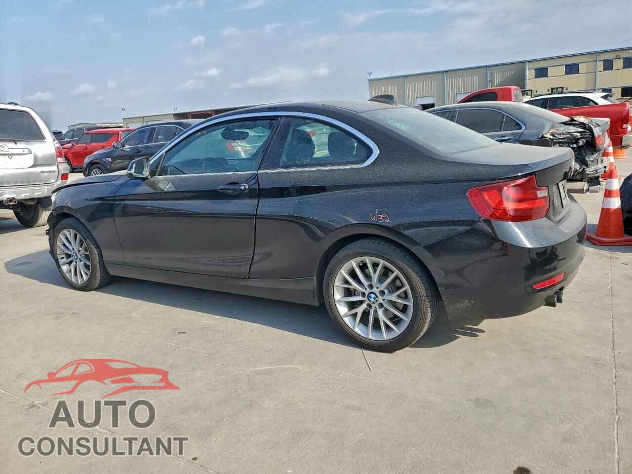 BMW 2 SERIES 2016 - WBA1F9C52GV544329