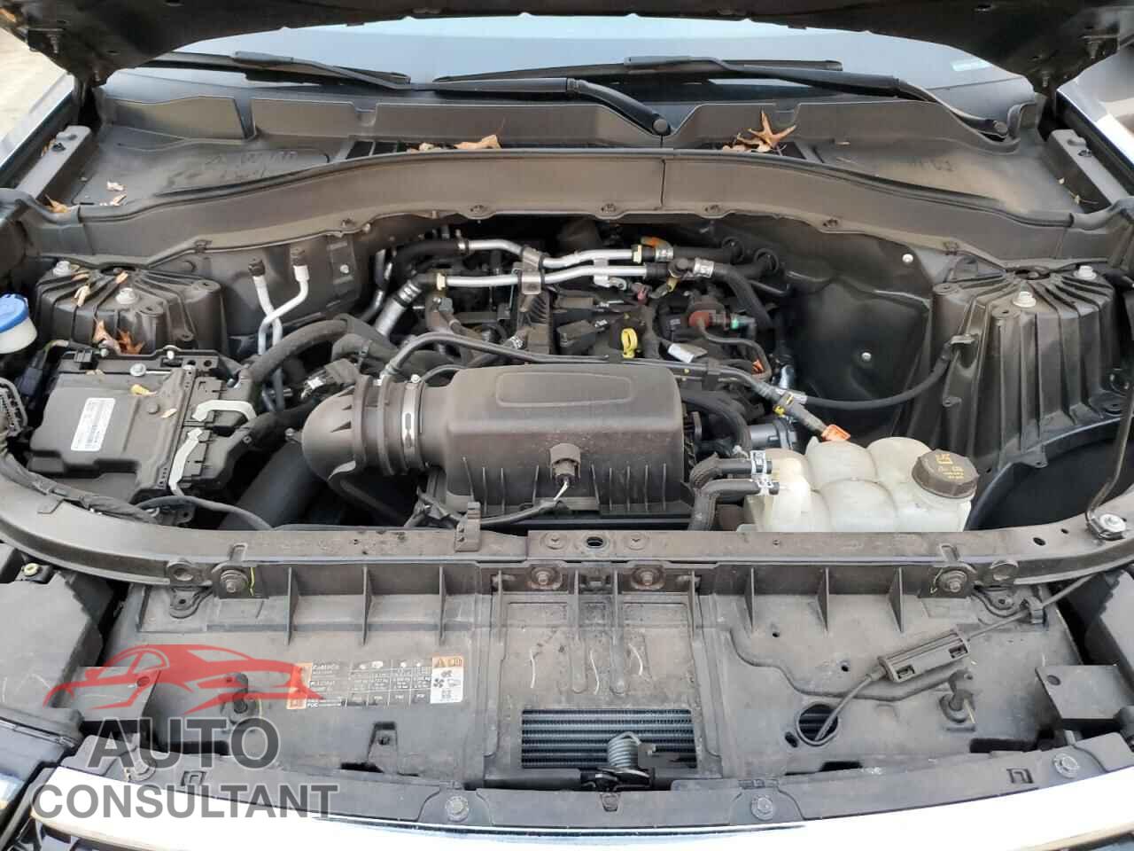 FORD EXPLORER 2021 - 1FMSK8DH5MGA77005