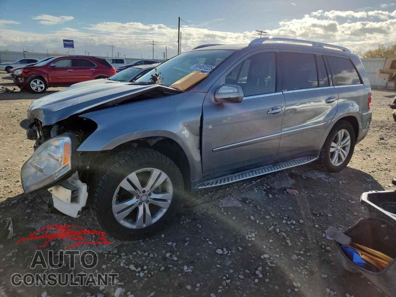 MERCEDES-BENZ GL-CLASS 2010 - 4JGBF7BE2AA540420