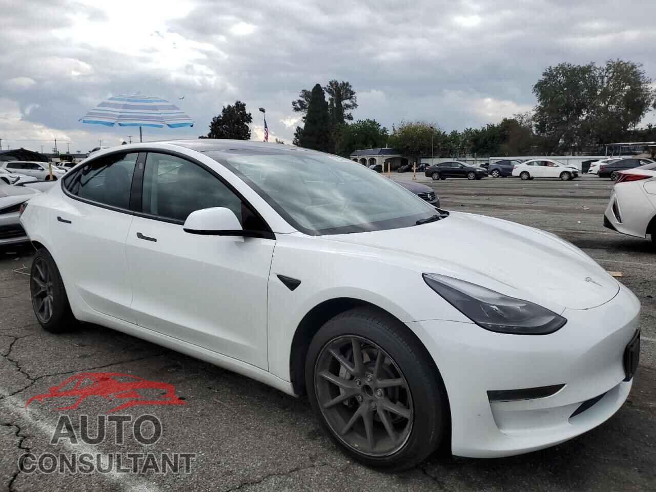 TESLA MODEL 3 2023 - 5YJ3E1EA8PF501817