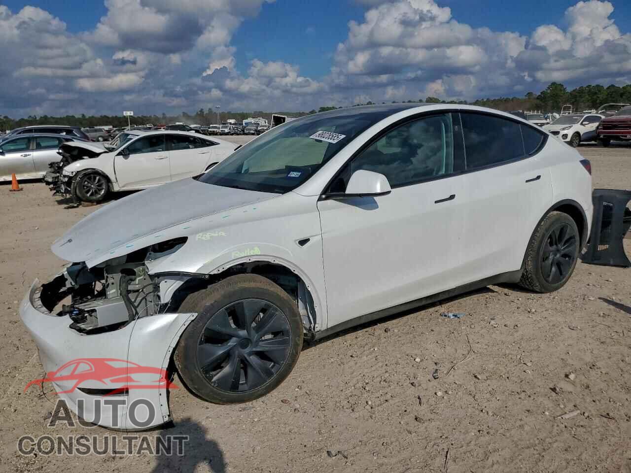 TESLA MODEL Y 2024 - 7SAYGDED0RA308219