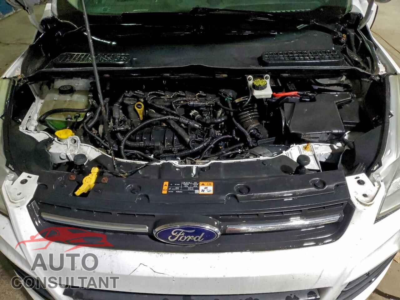 FORD ESCAPE 2014 - 1FMCU9GX4EUC47834