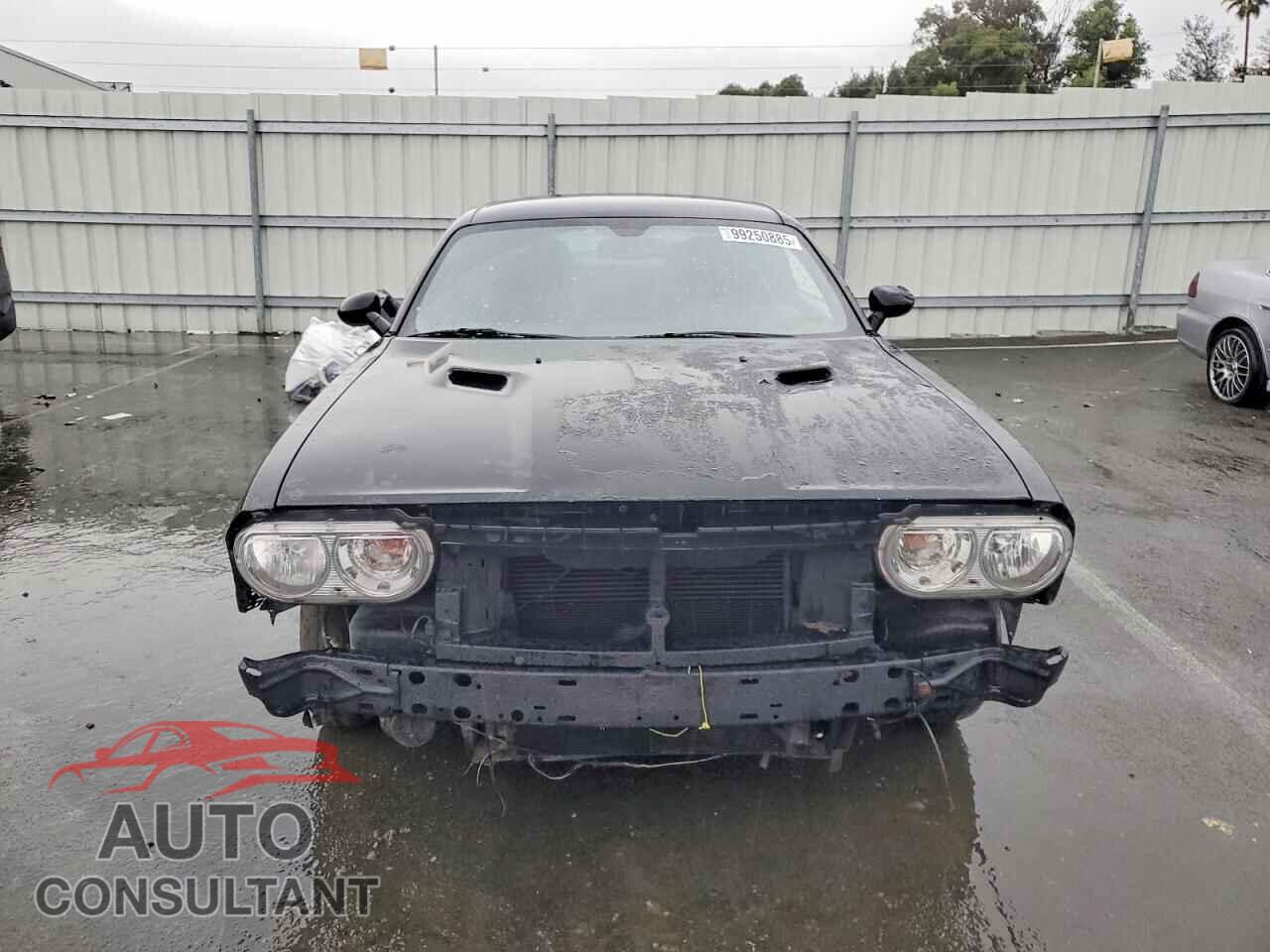 DODGE CHALLENGER 2014 - 2C3CDYAG5EH195404