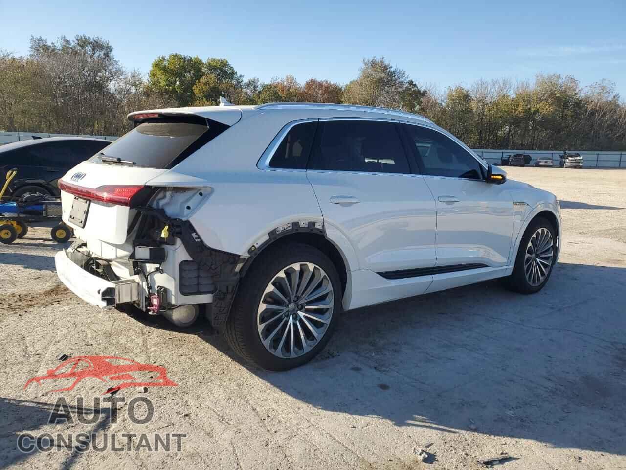 AUDI E-TRON 2019 - WA1VABGEXKB011296